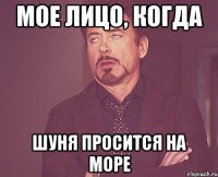 Мое лицо, когда Шуня просится на море