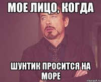 Мое лицо, когда Шунтик просится на море