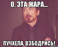 О, эта жара... Пучхела, взбодрись!