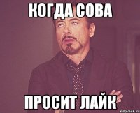 Когда Сова Просит лайк