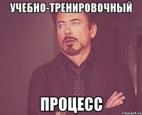 Учебно-тренировочный процесс