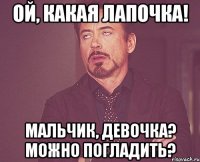 Ой, какая лапочка! Мальчик, девочка? Можно погладить?