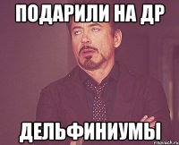 подарили на др дельфиниумы