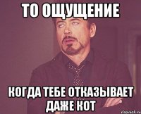 То ощущение когда тебе отказывает даже кот