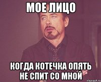 Мое лицо Когда котечка опять не спит со мной