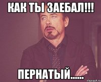 Как ты заебал!!! Пернатый......