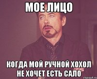 мое лицо когда мой ручной хохол не хочет есть сало