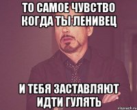 то самое чувство когда ты ленивец и тебя заставляют идти гулять