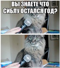 Вы знаете что сиблу остался год? 