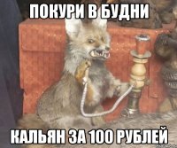 Покури в будни кальян за 100 рублей