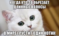 когда кто-то обрезает длинные волосы в мире грустит один котик