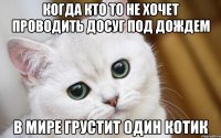 Когда кто то не хочет проводить досуг под дождем В мире грустит один котик