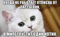 Когда не работает отписка от рассылки, в мире грустит один котик.