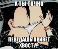 а ты точно передашь привет ХВОСТУ?