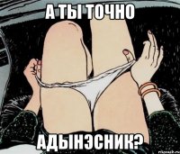 А ты точно Адынэсник?