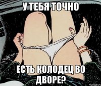 у тебя точно есть колодец во дворе?