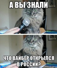 А вы знали Что Вайбер открылся в России?