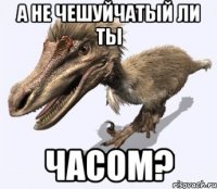 а не чешуйчатый ли ты часом?