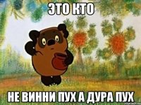 Это кто Не винни пух а дура пух