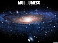 Mulțumesc ♥