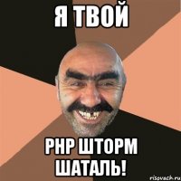 Я ТВОЙ PHP шторм шаталь!