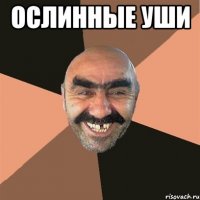 ослинные уши 