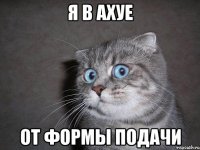 я в ахуе от формы подачи