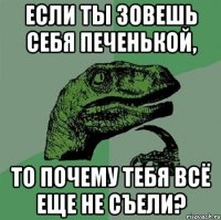 Если ты зовешь себя печенькой, То почему тебя всё еще не съели?