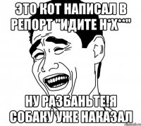 Это кот написал в репорт "идите н*х**" Ну разбаньте!Я собаку уже наказал