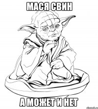 мася свин а может и нет