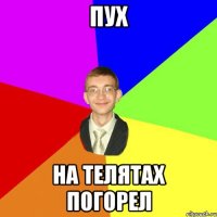 пух на телятах погорел