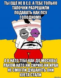 Ты ещё не в е.с. а тебе только тапочки разрешили подавать как псу голодному. А в нато тебе как до москвы раком.нато ни сирию ни иран не смогли душануть они хуета стали