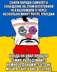 Сбили параша самолёт а сообщение об этом изготовили 16 а выложили 17 через несколько минут после трагедии Когда он упал прошло 15мин.ну подумайте немного.докажите что не моча в сале у вас в голове