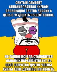 Сбитый самолёт спланированная киевом провокация против россии с целью ухудшить общественное. Но тайное всегда становится явным.и параша ответит за своё зверство.другие члены хунты тоже должны погибнуть