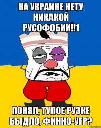 На украине нету никакой русофобии!!1 Понял, тупое рузке быдло, финно-угр?