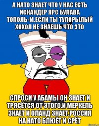 А нато знает что у нас есть искандер ярс булава тополь-м.если ты тупорылый хохол не знаешь что это Спроси у абамы он знает и трясётся от этого.и меркель знает и оланд знает.россия на нато блюёт и срёт