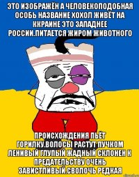 Это изображён а человекоподобная особь название хохол живёт на ккраине это западнее россии.питается жиром животного Происхождения пьёт горилку.волосы растут пучком ленивый глупый жадный склонен к предательству очень завистливый.сволочь редкая