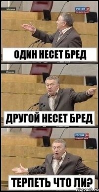 Один несет бред другой несет бред Терпеть что ли?