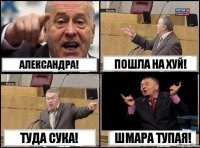 Александра! Пошла на хуй! туда сука! Шмара тупая!