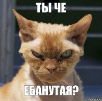 Ты че Ебанутая?