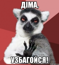 Діма, узбагойся!