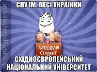 СНУ ім. Лесі Українки Східноєвропейський Національний Університет