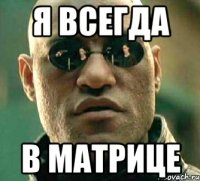 я всегда в матрице