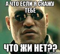 А что если я скажу тебе что жи нет??