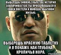 Выберешь синюю таблетку, история заканчивается, ты просыпаешься в своей постели и живешь обычной жизью. Выберешь красную таблетку и я покажу, как глубока кроличья нора.