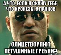 А что, если я скажу тебе, что ирокезы у панков олицетворяют петушиные гребни?