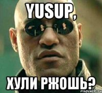 YUSUP, Хули ржошь?