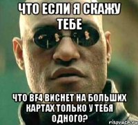 что если я скажу тебе что BF4 виснет на больших картах только у тебя одного?