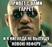 привет с вами Гаррет и я нигокда не выпущу новою неферу