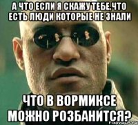 А что если я скажу тебе,что есть люди которые не знали что в Вормиксе можно розбанится?